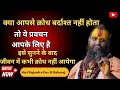 क्रोध पर श्री राजेन्द्र दास जी महाराज 
