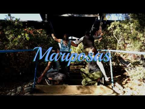 inSITE 2024: Mariposas