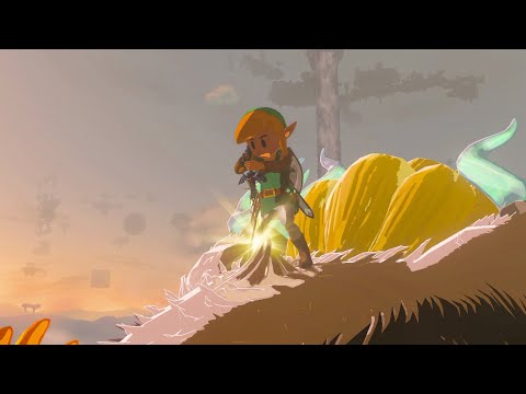 Link's Awakening Link Pulls Out The Master Sword...