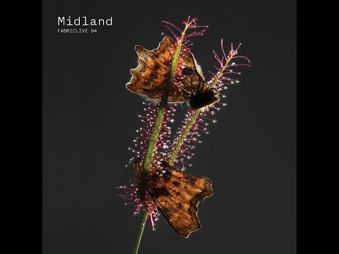 BEATRICE DILLON - Halfway