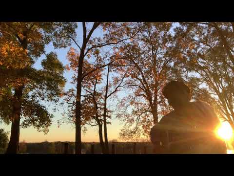 // Twenty Two and Some Change // Stephen Day