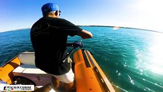 Download lagu Kolpo Nuove Canne e Mulinelli per la Pesca a Traina Costiera | Pescaloccasione mp3