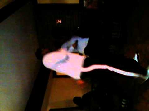 Big boy Nardo can dance