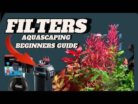 Best Filters for Aquascaping Beginners: GPH, Noise Levels & Channel Update!