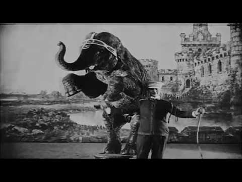 The Silk Demise - Corridors