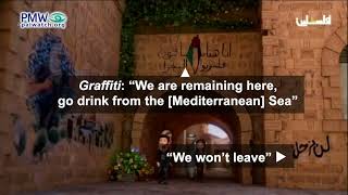 CEO of Western-funded organization wanting to erase Israel