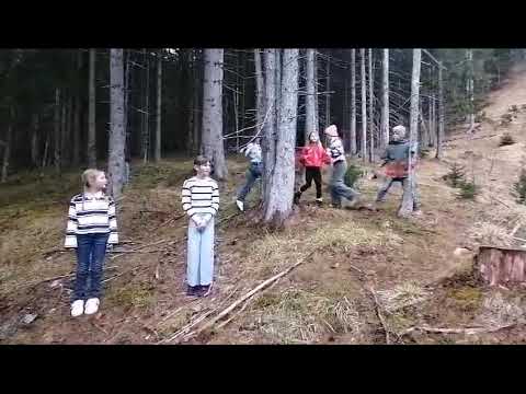 Halt, das ist unser Wald