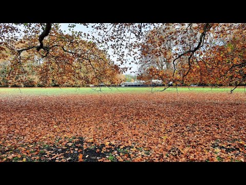 Bergisches Land Indian Summer