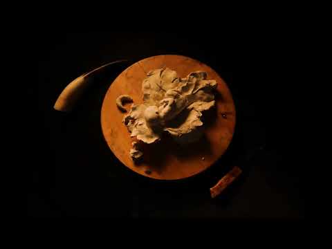 Cenusa Soarelui - Bibliotecarul a Murit (Visualizer)
