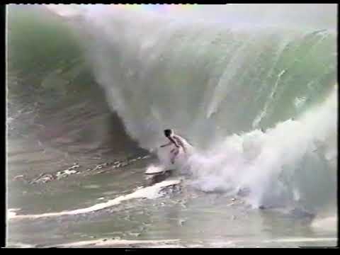 lost files of lennox -  curtis,  willsy 1997