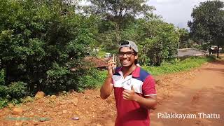 preview picture of video '#Palakkayam_Thattu a Travel Vlog.'