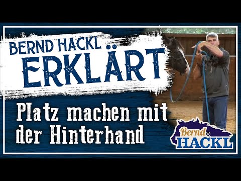 Platz machen mit der Hinterhand | Bernd Hackl erklärt! 🐴