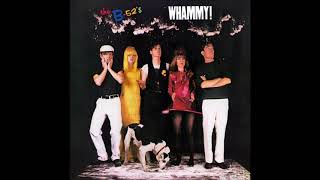 Song For A Future Generation The B 52&#39;s