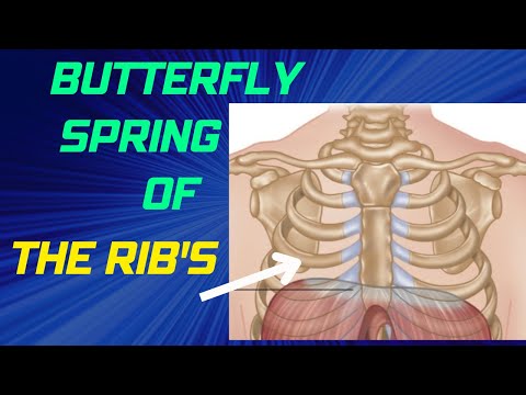 How to Mobilise & Manipulate the Ribs: Butterfly Spine Technique