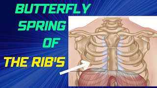 How to Mobilise & Manipulate the Ribs: Butterfly Spine Technique