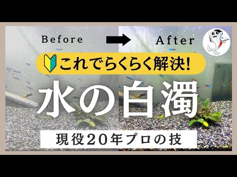 冬に鶏の水が凍らないようにする方法