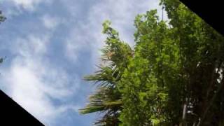 ALEX UBAGO - CRAIG DAVID- WALKING  AWAY.wmv