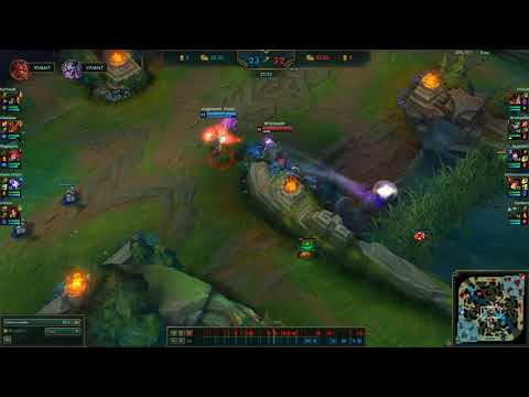 Zoe sleep bug