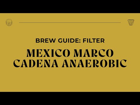 Brew Guide - Mexico Marco Cadena Anaerobic Filter