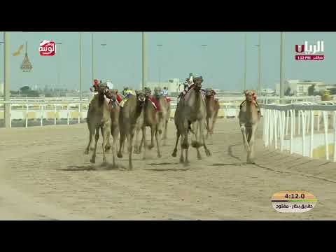 ش 3 (الظبية) الشيخ ناصر بن أحمد بن جاسم آل ثاني 6:07:92 , مهرجان المؤسس 2025/12/13 حقايق الشحانية