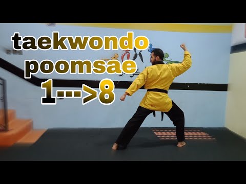 Taekwondo Poomsae 1 - 8