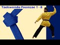 Taekwondo Poomsae 1 8
