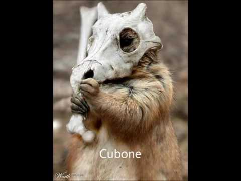 I pokemon esistono davvero!!!