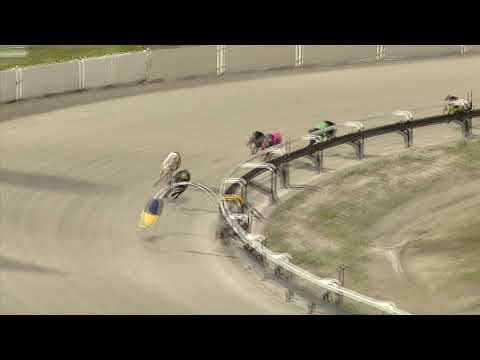 Albion-Park-Sunday-17072022-Race-6