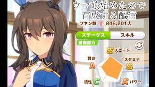 今日はチョコブルボン育てよう