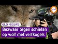 GLD Nieuws 4 november 2022