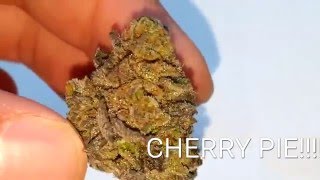 beautiful cherry pie strain review/ taste test
