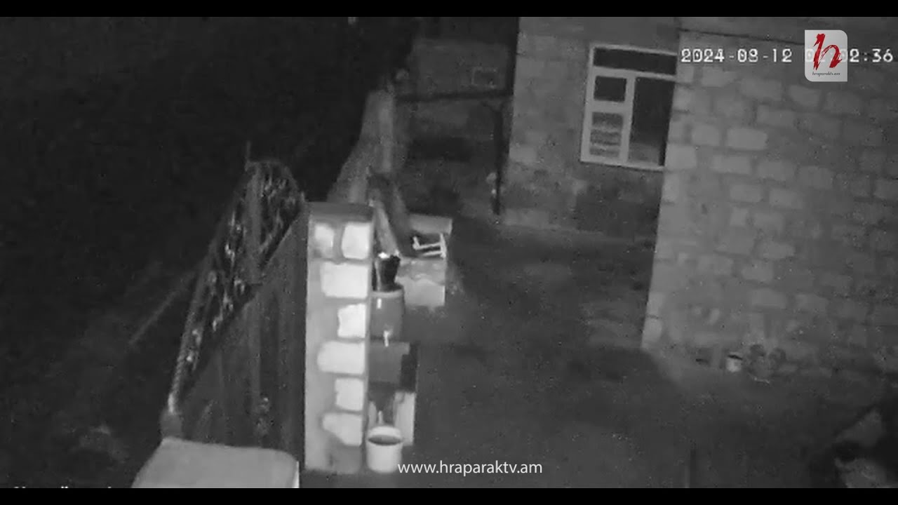 Տեսախցիկը ֆիքսել է գիշերվա երկրաշարժը