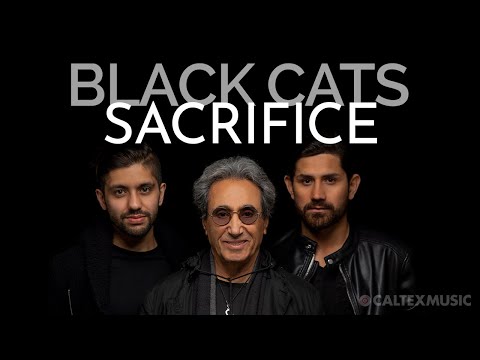 Black Cats - Sacrifice (Audio - Valentine's Day 2020 Version)