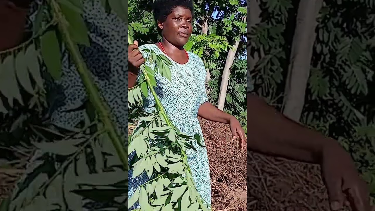 POV: visiting Filesi’s  farm in Malawi