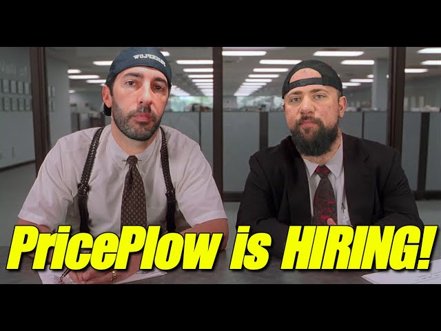 PricePlow is HIRING (50k): Wanted: A Writer / Blogger / Digital Content Manager