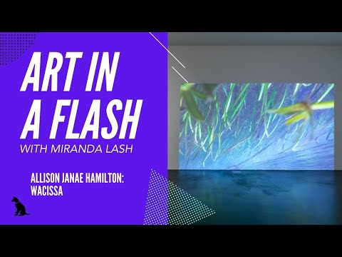 Art in a Flash with Miranda Lash | Allison Janae Hamilton: Wacissa