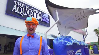 Download lagu Blippi Visits an Aquarium (The Florida Aquarium) | BEST OF BLIPPI | Educational Videos For Kids mp3