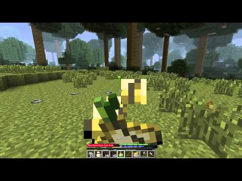 Terrafirmacraft | Episode #1 - Surviving the Night