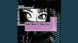 Cover art for End Now I See You