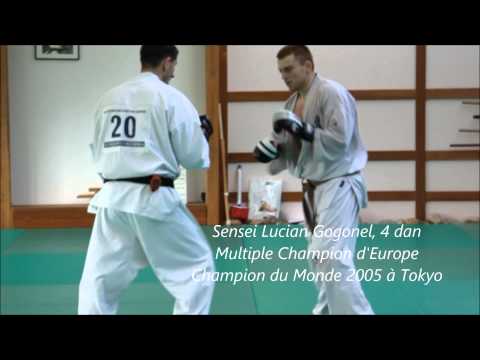 4th SWISS WINTER CAMP KARATE IKO KYOKUSHIN LAUSANNE 2015