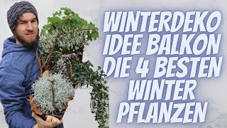 Die beste Winter Deko Idee 2020 -  Balkon mit den 4 besten Winterpflanzen für draussen dekorieren