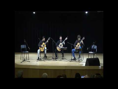 TRÍO TIMBÓ --  Danza paraguaya / Agustín Barrios