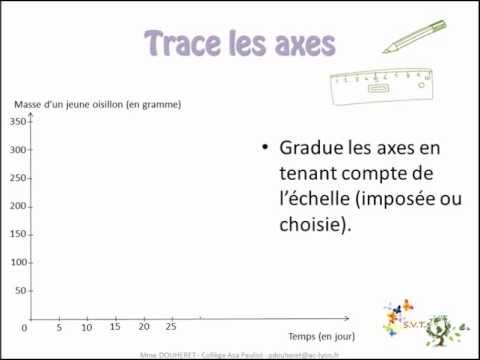 comment construire une courbe en svt