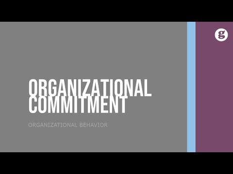 The Importance of Interpersonal Skills