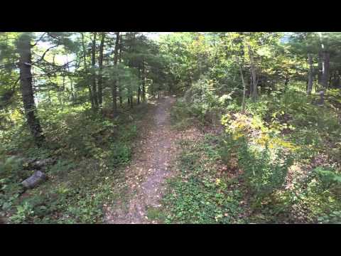 image-Where is cowanesque?