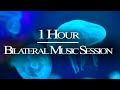 1 HR Bilateral Music Therapy - Relieve Stress, Anxiety, PTSD, Nervousness - EMDR, Brainspotting - Destined Dynamics 1 HR Bilateral Music Therapy - Relieve Stress, Anxiety, PTSD, Nervousness - EMDR, Brainspotting