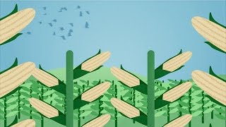 Kuraray: Sustainability Animated Explainer Video