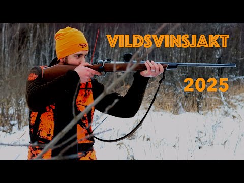 Vildsvinsjakt med hund - 4K