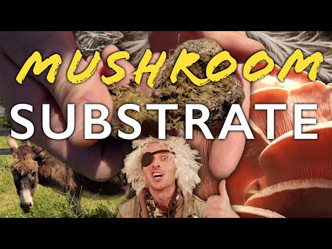 Mushroom Substrate