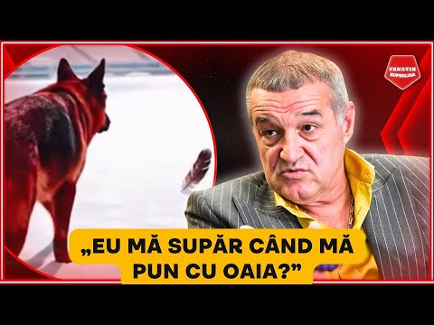 Gigi Becali, REACTIE SURPRINZATOARE in SCANDALUL POSTARILOR CONTROVERSATE de la Rapid - Dinamo
